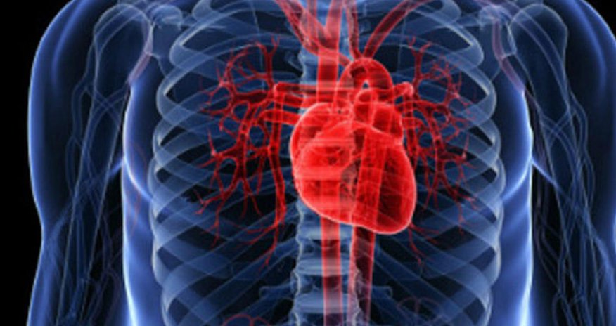 İstidə ürəyi qorumaq üçün ən yaxşı 7 məhsul