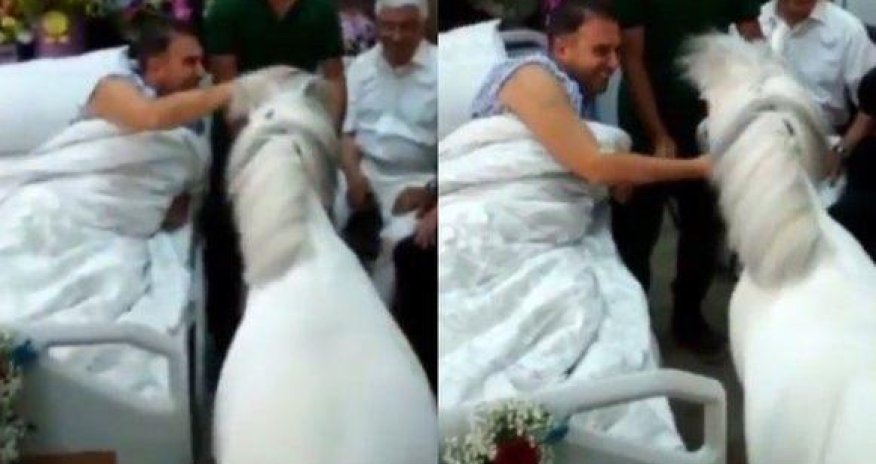 Həkimdən şok:Hacı Nuranın yanına at gətirilməsi...