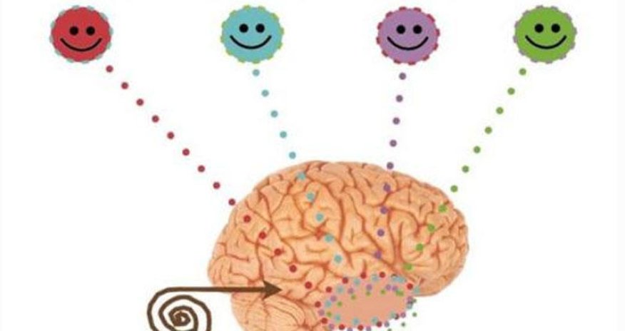 Bədənimizdə olan morfinlər - Əhvalımız onlardan asılıdır