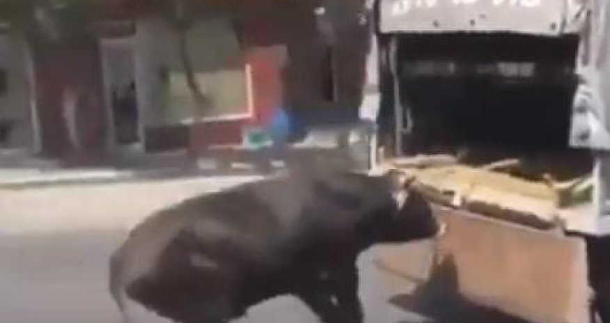 Vaqif Əsədov işgəncə görüntüsündən danışdı – VIDEO