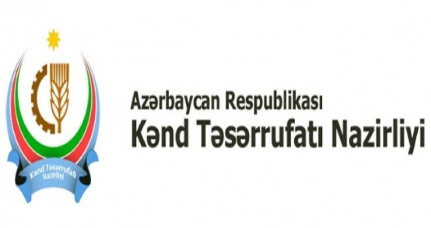 Nazir yeni rəis müavinləri təyin etdi