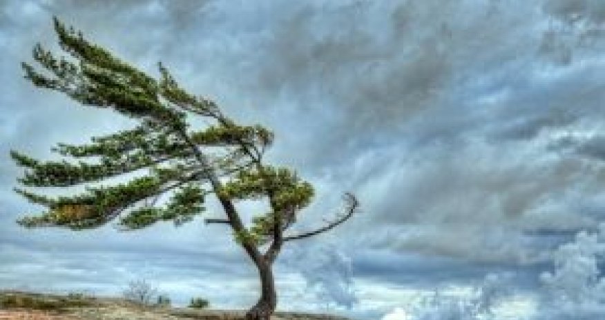 Sabahın hava proqnozu açıqlandı