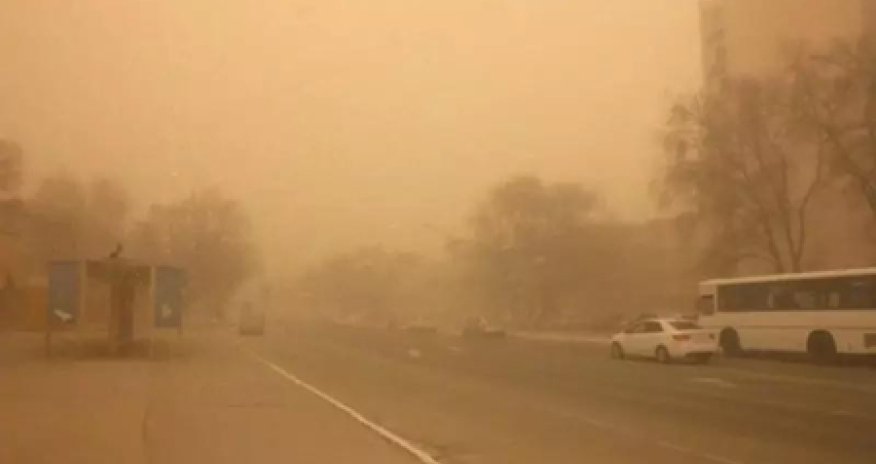 Alimlərdən qorxunc PROQNOZ