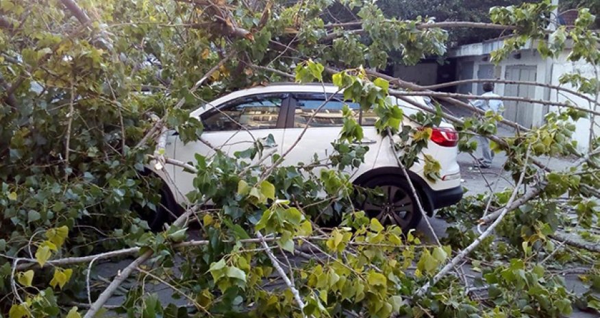 Meriyadan xəbərdarlıq - “Maşını burada saxlamayın”