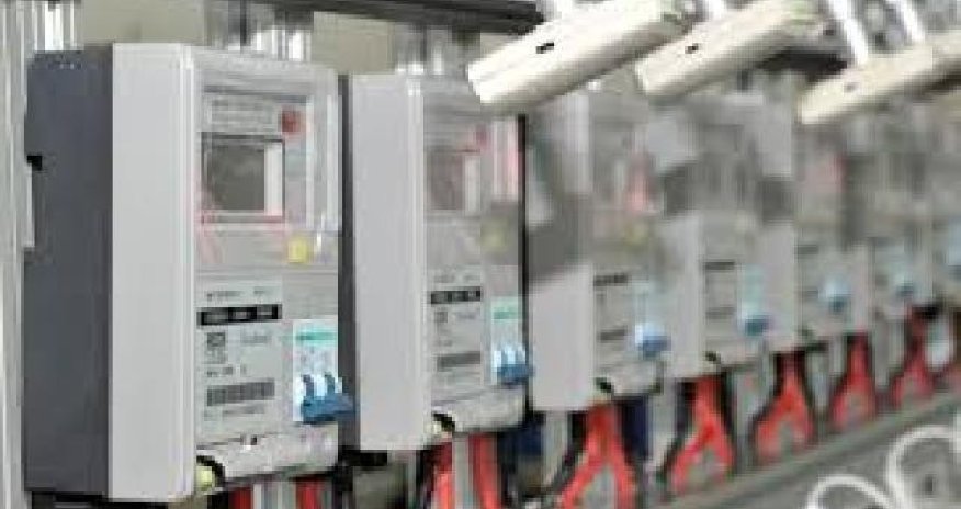 Sayğaclara müdaxilə niyə mümkün deyil?