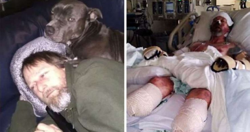 İtinə olan sevgisi onu iki ayağından etdi - FOTOLAR