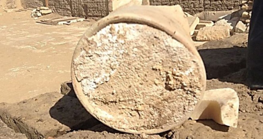 В египетской гробнице II тысячелетия до н.э. нашли сыр