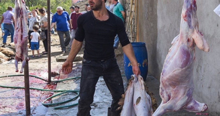 МВД начинает борьбу с незаконным забоем скота