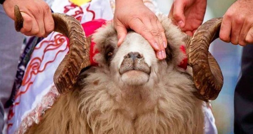 Azərbaycanda Qurban bayramı qeyd olunur