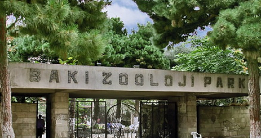 Bu tarixdən Bakı Zooparkı bağlanır