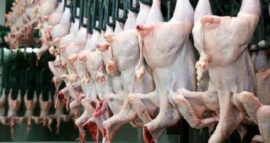 Diqqət! Biz bu toyuqları yeyirik - İyrənc mənzərə - VİDEO