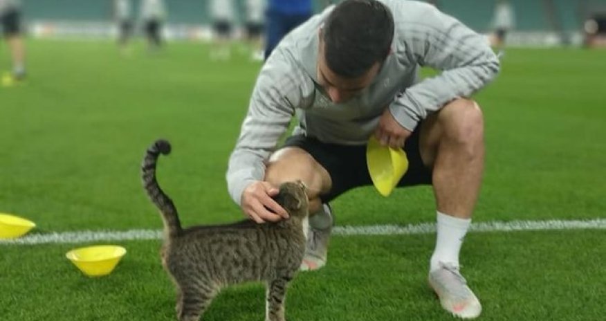 Qara Qarayev məşhur pişiklə - FOTO 