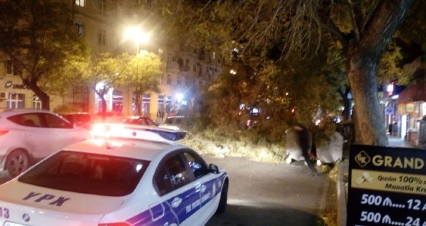В Баку сильный ветер повалил деревья