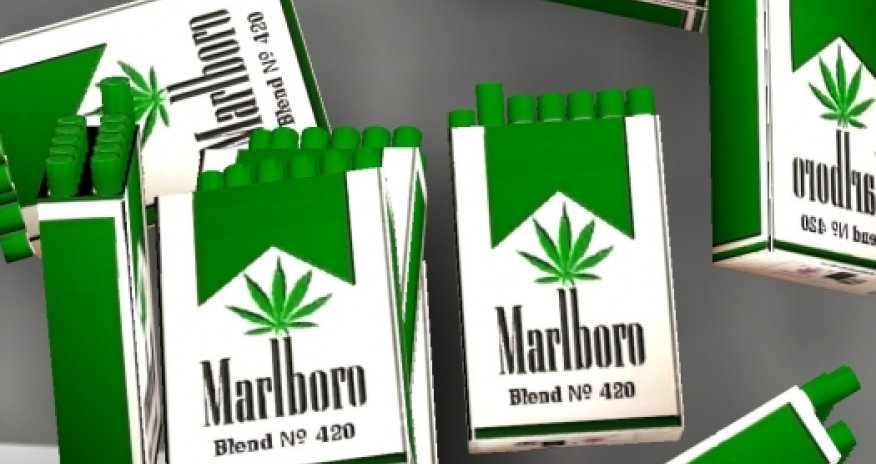 Marlboro будет выращивать марихуану в Канаде