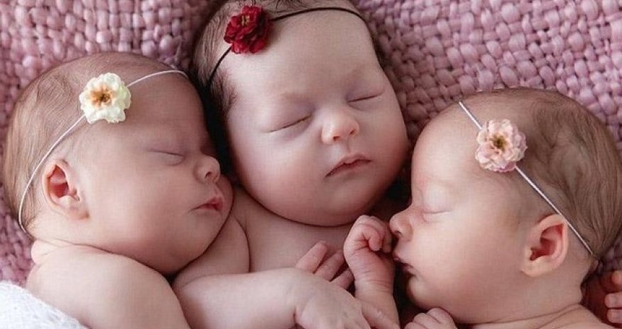 Azərbaycanda uşaqlara ən çox bu quş adları verilib - Siyahı