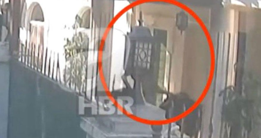 Qaşıqçının parçalanmış cəsədi çamadanlarla belə daşınıb - VİDEO