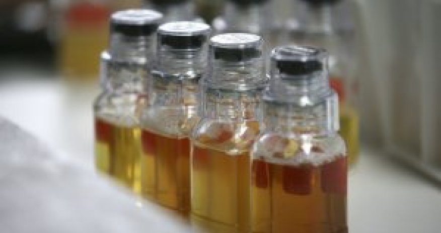 WADA says its experts have no difficulties working in Moscow lab  5