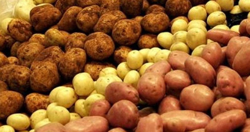 Kartof sağlamlıq üçün necə faydalıdır?