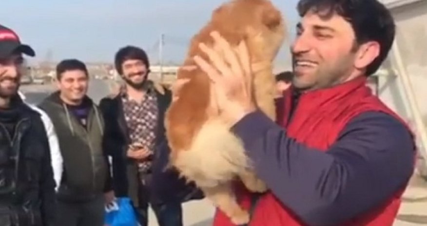 Kamil dünən azadlığa çıxdı, bu gün yenə söyüş söydü - Video