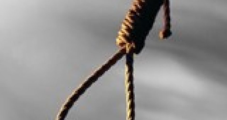 В Саудовской Аравии казнили почти 40 террористов