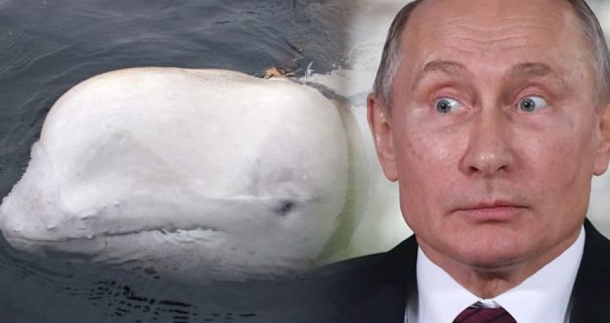 Putin dünyanı ŞOKA SALDI - Son anda gördülər - FOTOLAR