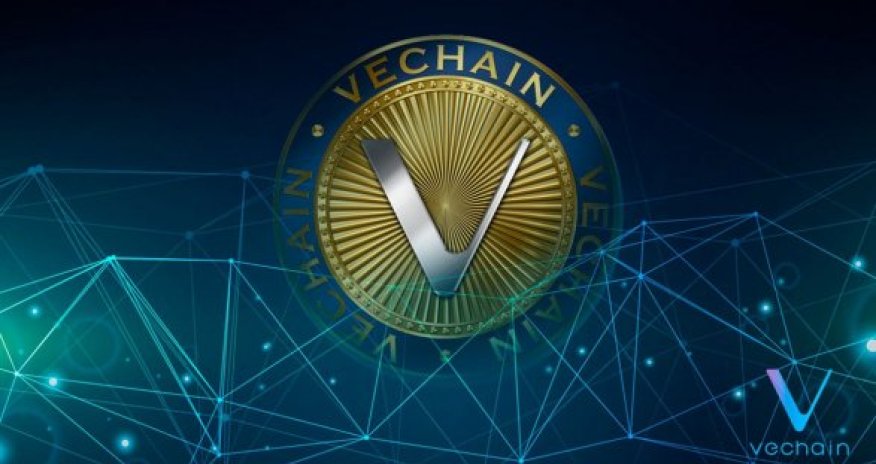 Неизвестная криптовалюта выросла на сто процентов