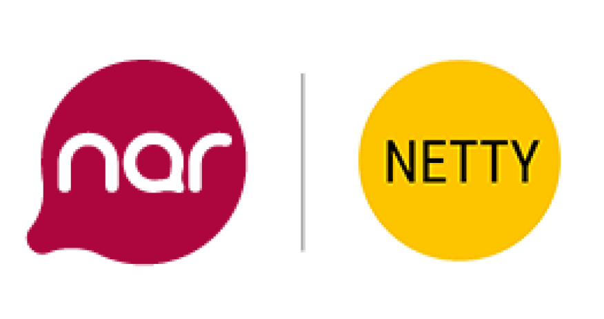 Documents acceptance process for NETTY-2019 awards, supported by Nar continues