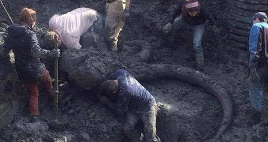 Ər və arvad tarlanı şumlayarkən tapdı - Bu tapıntı ölkədə ŞOK effekti yaratdı - FOTOLAR