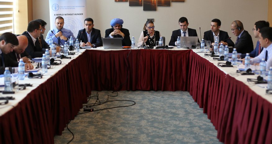 FAO holds regional planning workshop on development of national agricultural export strategies in Azerbaijan, Tajikistan, and Uzbekistan (PHOTO)