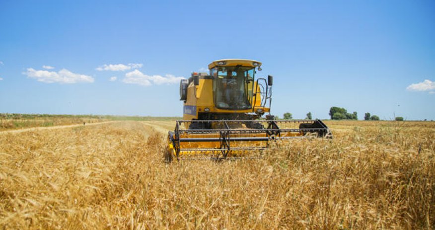 Grain harvest completed on about 800,000 ha of Azerbaijani fields as of July 3