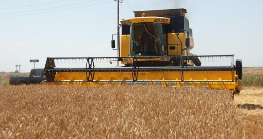 Output of agricultural products in Azerbaijan growing