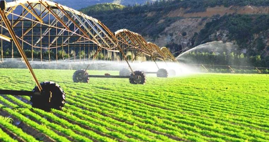 How bidaicoin will change agriculture of Kazakhstan (Exclusive)