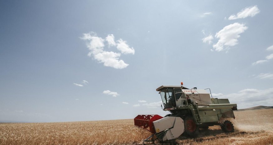Grain harvesting continues in Azerbaijan