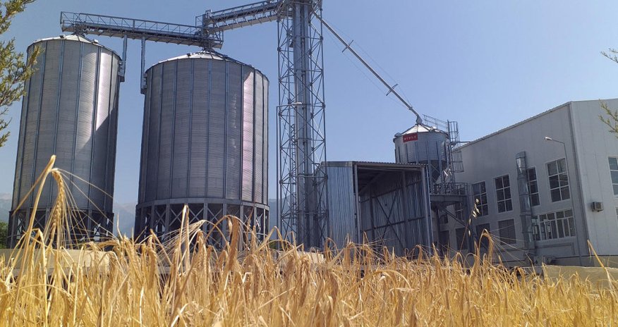 Seed processing plant starts operating in Azerbaijan’s Sheki (PHOTO)