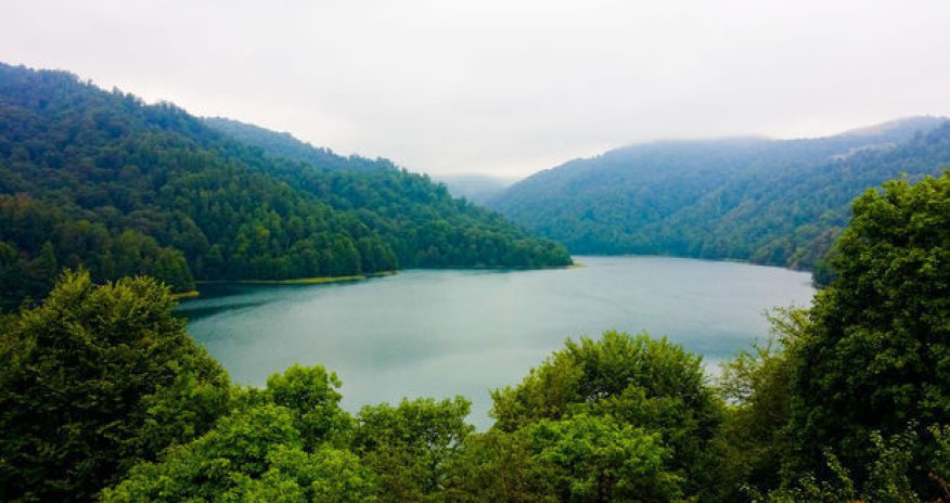 Неразумное отношение к природе грозит серьезными изменениями биоразнообразия