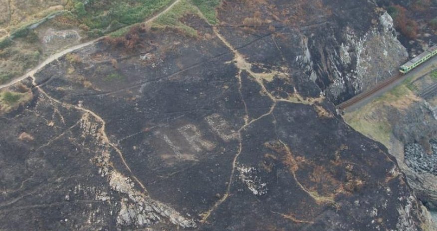 Meşə sahəsi kül oldu - Sakinlər əraziyə baxanda ŞOK MƏNZƏRƏ ilə üzləşdilər  - FOTOLAR