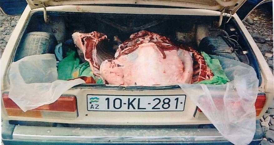 Qubada istifadəyə yararsız 151 kq ət aşkar edilib