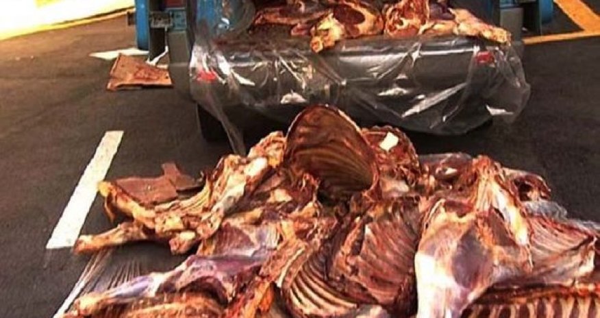Qurban bayramı günü Bakıda külli miqdarda istifadəyə yararsız ət aşkarlandı - FOTO