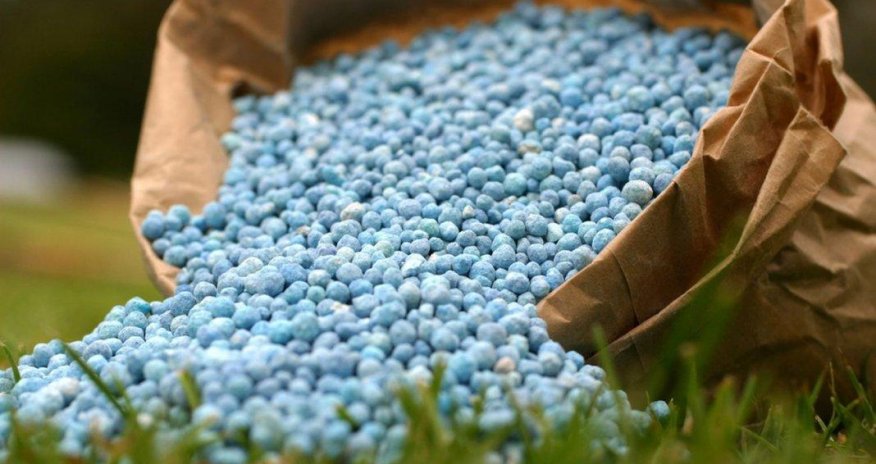 Azerbaijani farmers may buy mineral fertilizers at preferential price