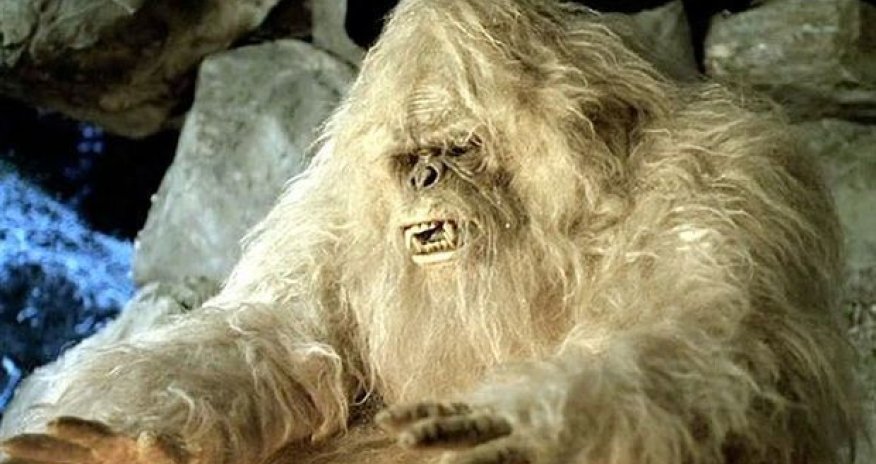 Ucar rayonunda insanları qorxuya salan naməlum məxluq tutuldu? - RƏSMİ AÇIQLAMA