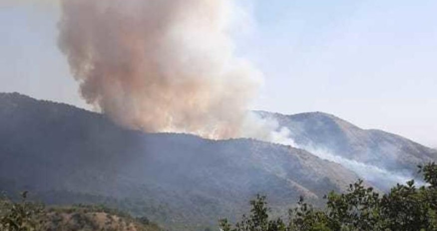Qubada yanğın davam edir - İcra başçısı hadisə yerindədir - VİDEO 