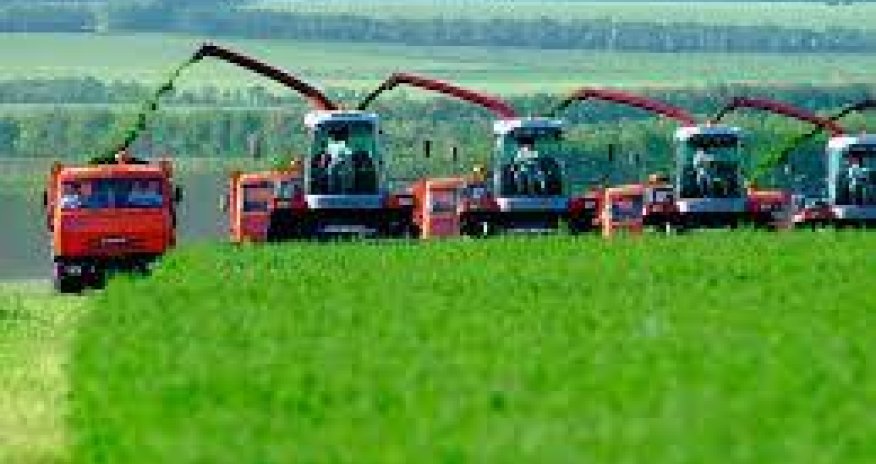 Azerbaijan posts 6.3% growth in agricultural production