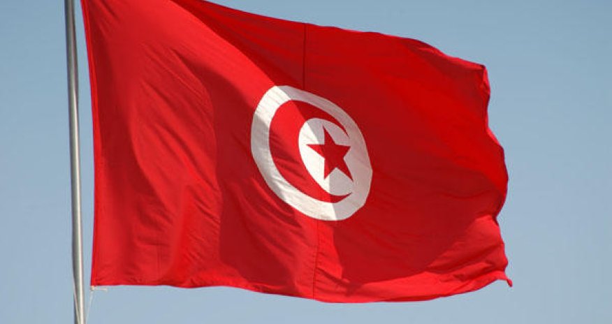 Tunisian PM delegates his powers to focus on presidential race