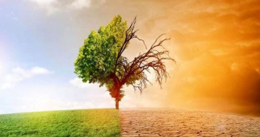 Azərbaycan fəlakətin astanasındadır - Alimlərdən xəbərdarlıq