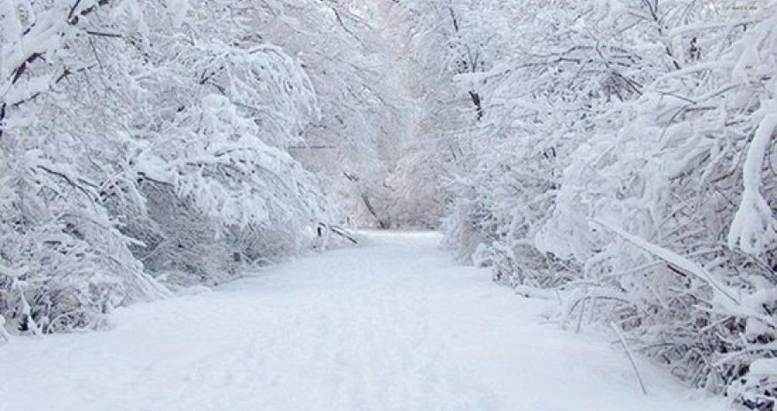 Azərbaycana ilk qar yağdı - FOTOLAR