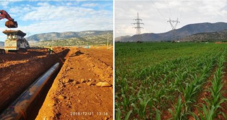 TAP kəməri boyunca 97% torpaq örtüyü bərpa olunub