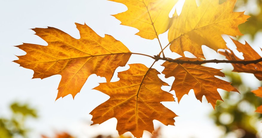 Прогноз погоды на завтра