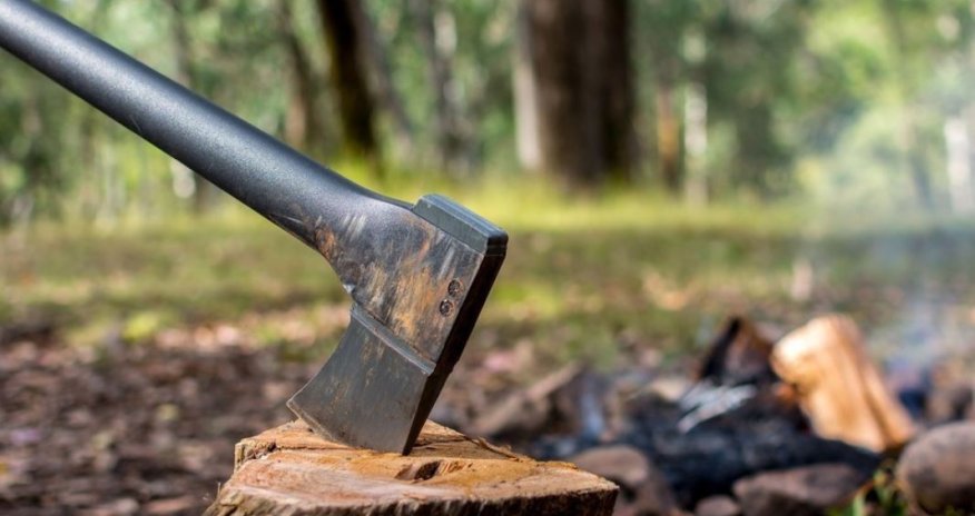 Мужчину оштрафовали на 15 тыс. манатов за незаконную вырубку деревьев