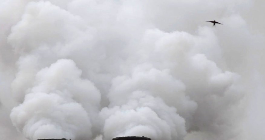 Ученые обвинили человечество в разрушении Земли