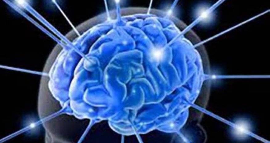 Ученые объяснили, как мозг 
